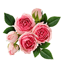 Flowers Shop