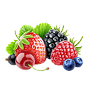 Berries