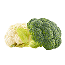 Broccoli 
& Cauliflower