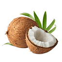 Coconuts