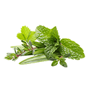Herbs 
& Sprouts
