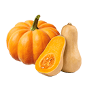 Pumpkin 
& Squash