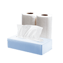 Tissue Rolls & Paper Towels