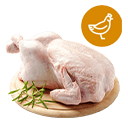 Chicken & Poultry