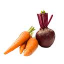 Root 
Vegetables